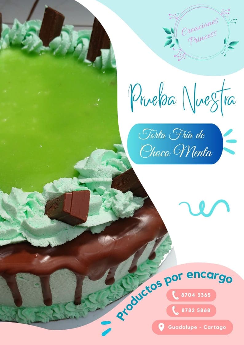 Torta Fría de Choco Menta Entera